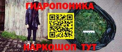 гидра Апшеронск