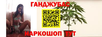 Альфа ПВП Аргун