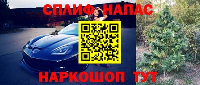 Альфа ПВП Аргун