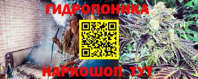PSILOCYBIN Апрелевка