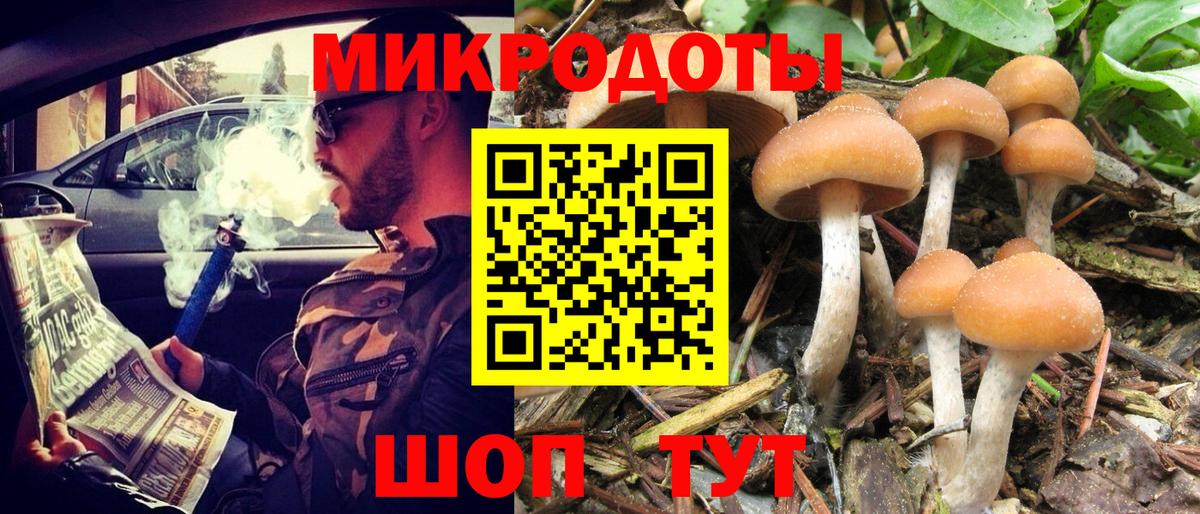 Богородицк  купить   Псилоцибиновые грибы GOLDEN TEACHER  Вход с VPN  Псилоцибиновые грибы Cubensis 