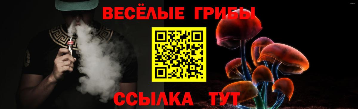 Галлюциногенные грибы мухоморы Богородицк